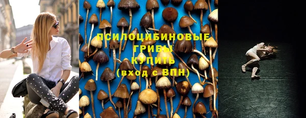 не бодяженный Богородск